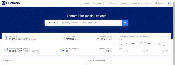 Fantom Blockchain Explorer